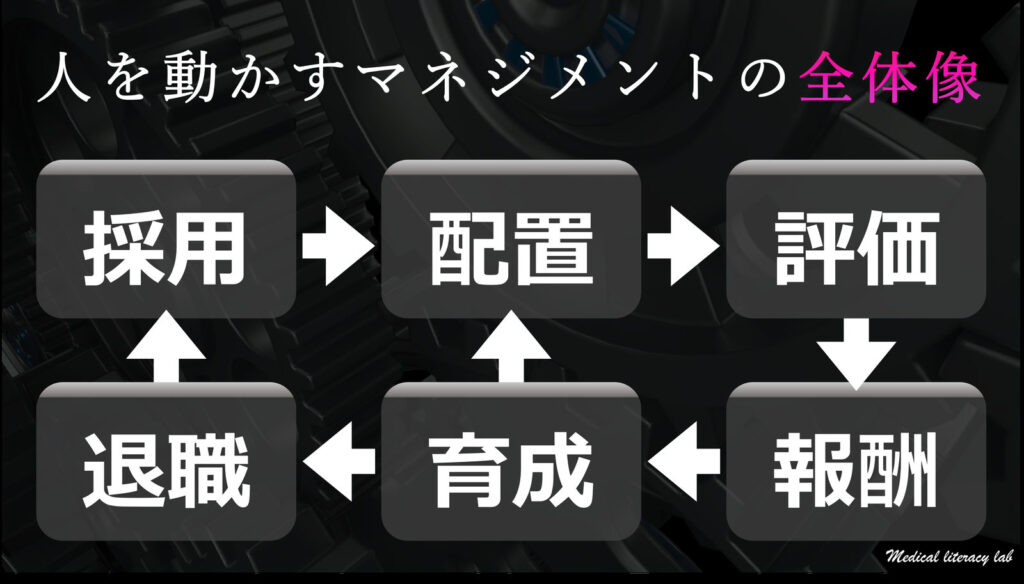 組織マネジメント